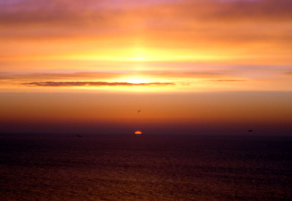 ��������� ϸ�� ��������