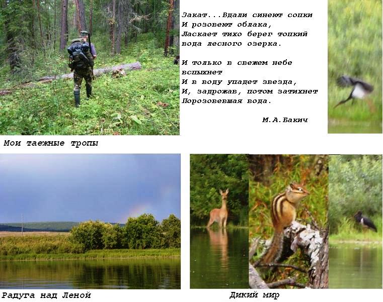 �������� ��������