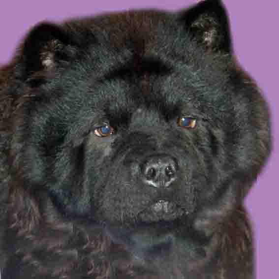 ������� �����