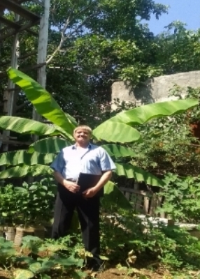 ������ ����������