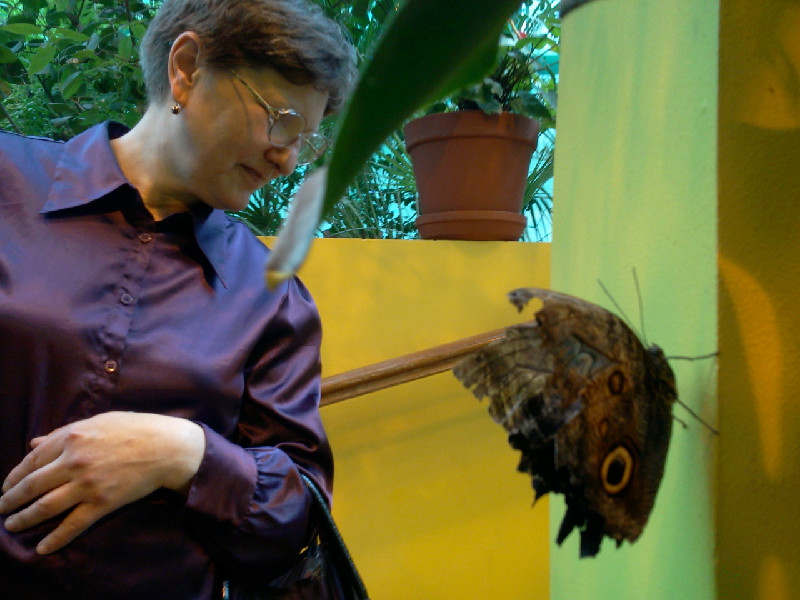 Тата Колина