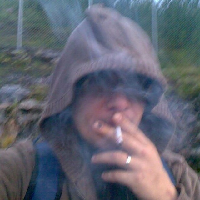 ���� ��������