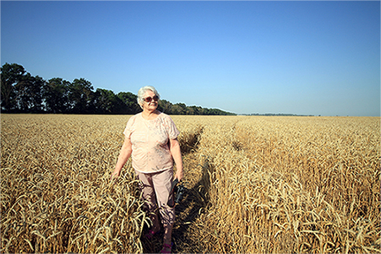 ����� �������