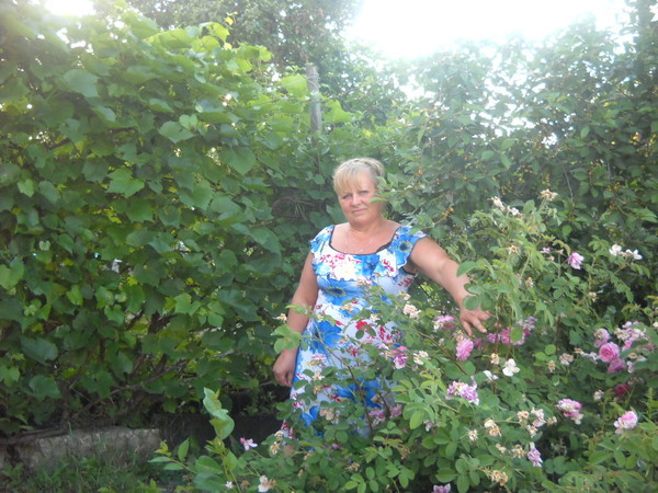 ������ ��������