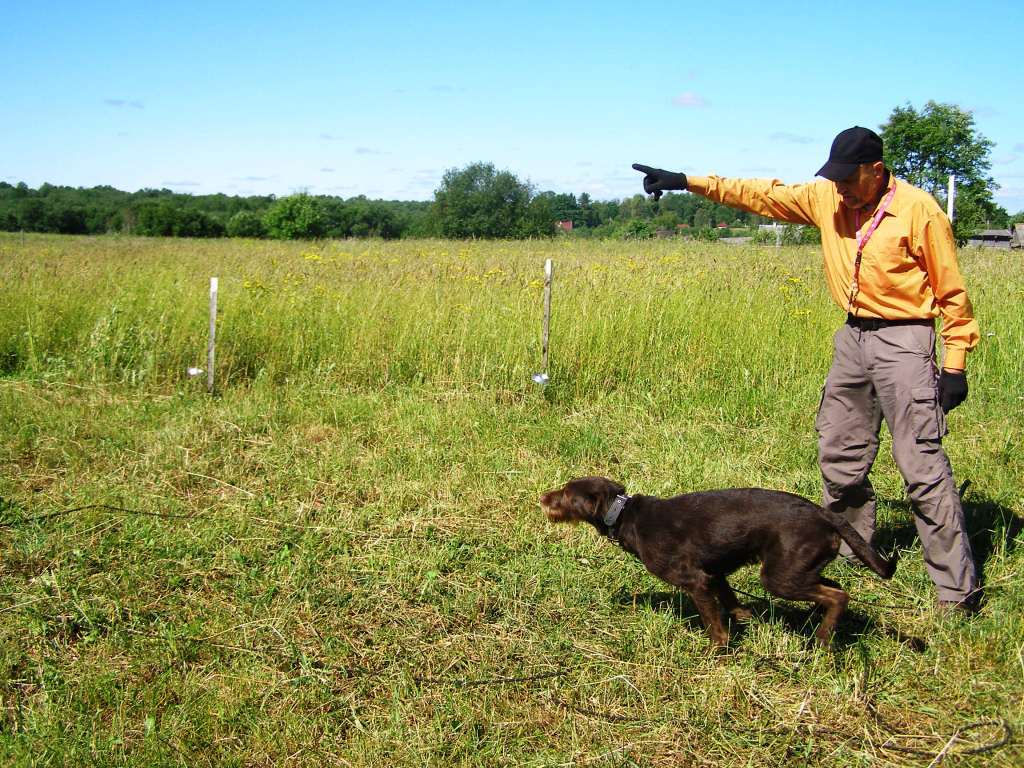 Константин Плосков