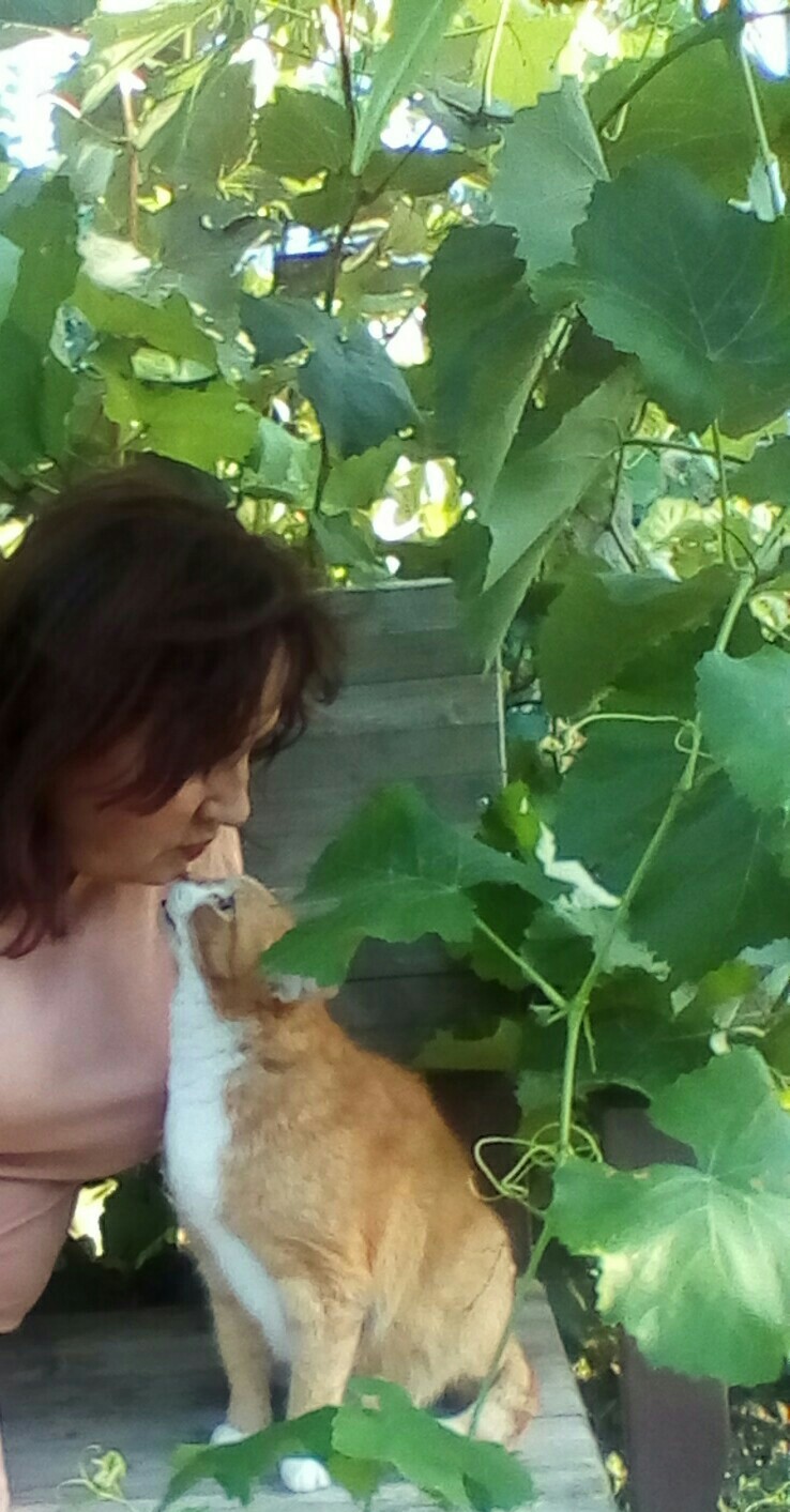 ������� ���������