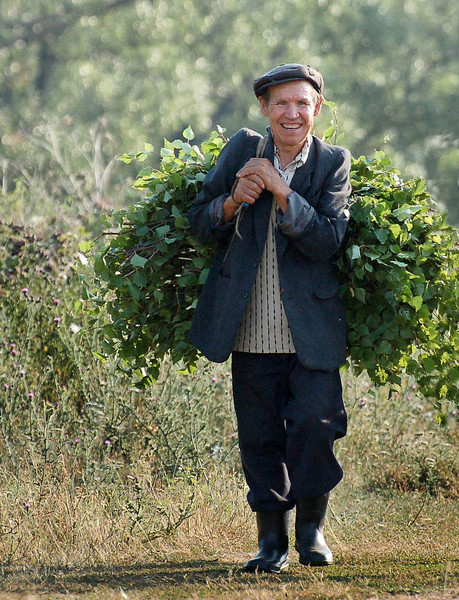 ������ ������� 4