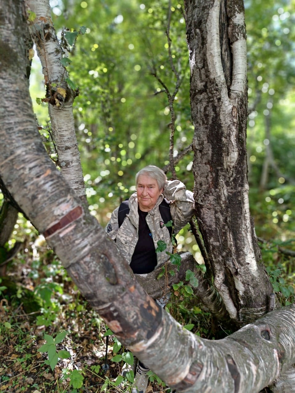 ������� ���������