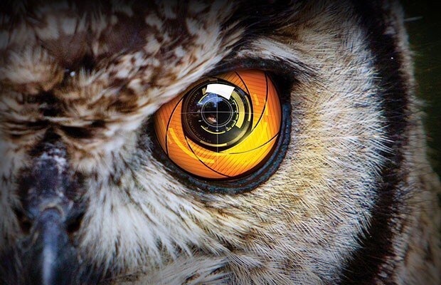 ����� ������