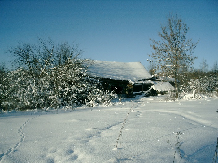 ����� �������