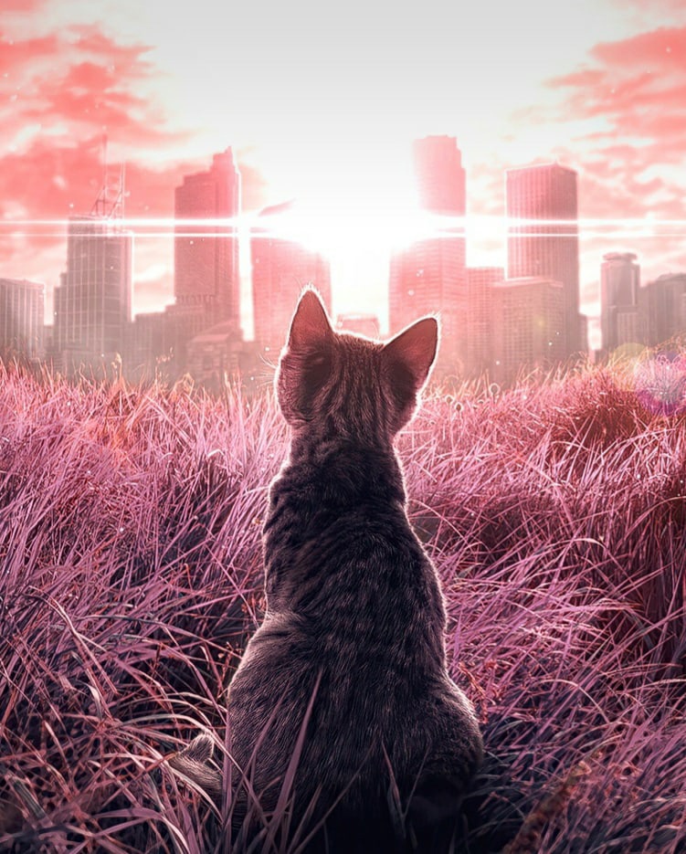 Наталья Сухотина