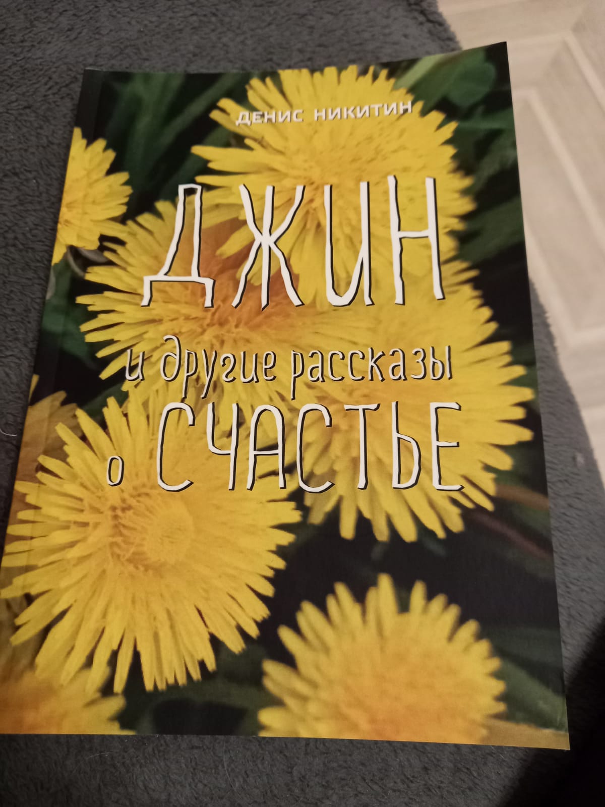 Никитин Денис