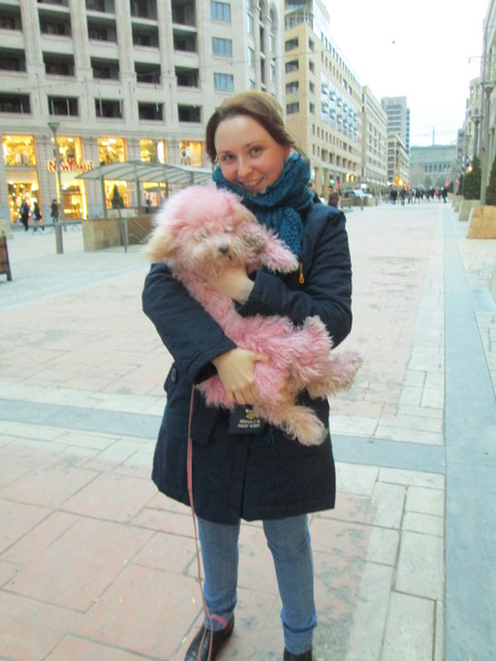 ��������� ��������