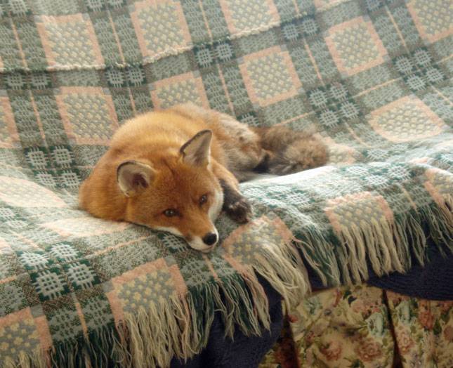 ������� ��-����