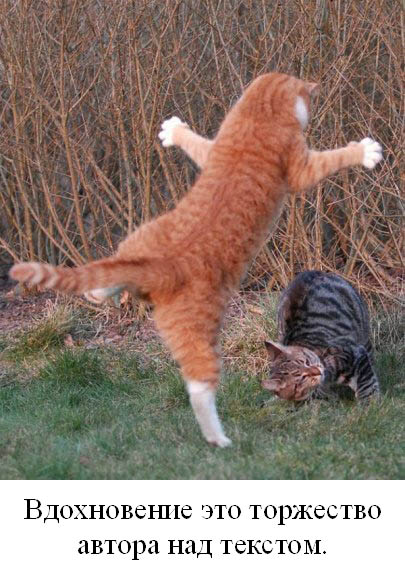 ������� ����� 2