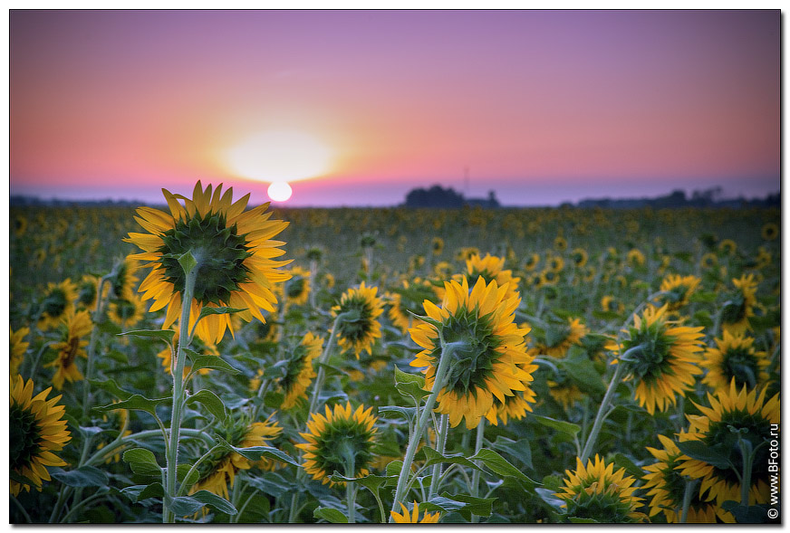 ������� ������