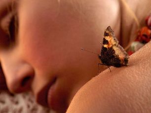 ����� ���������