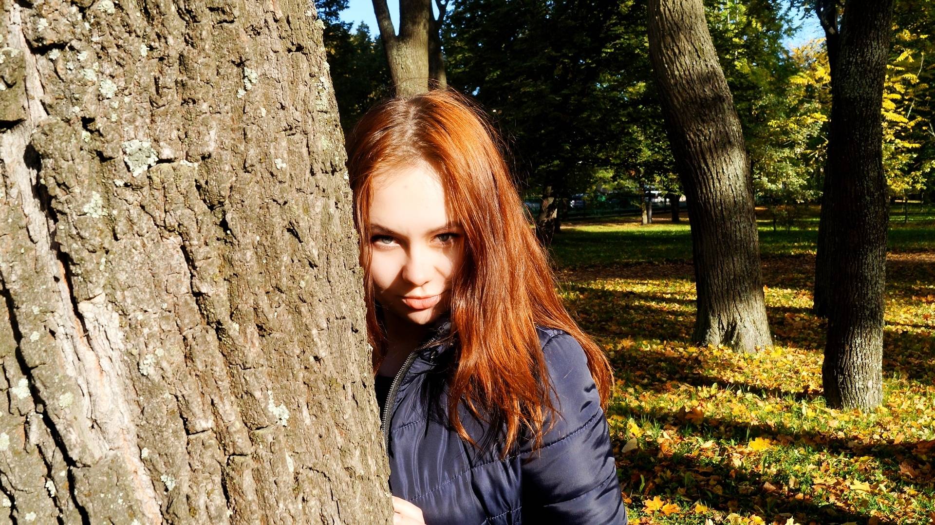 �������� ��������