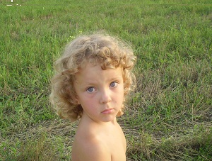 ������ ����