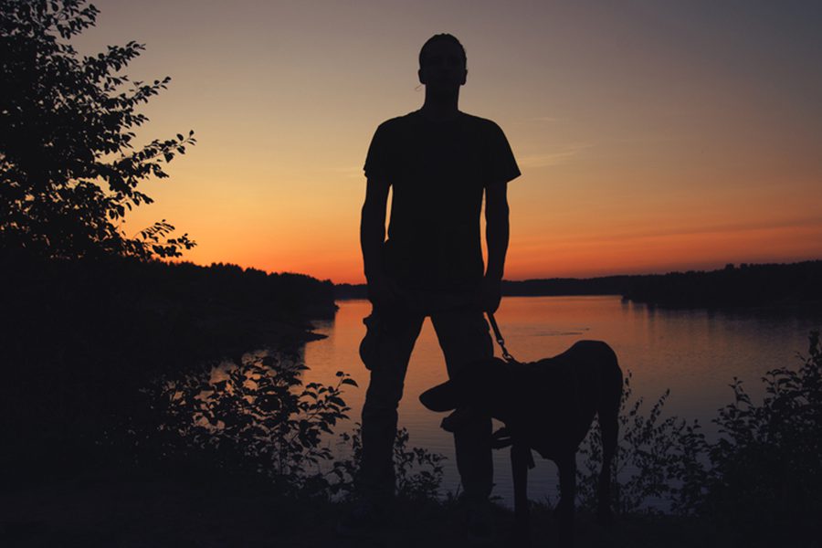 ���� ��������