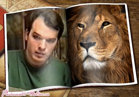 ���� ������