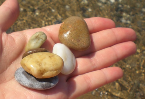 ������ ������