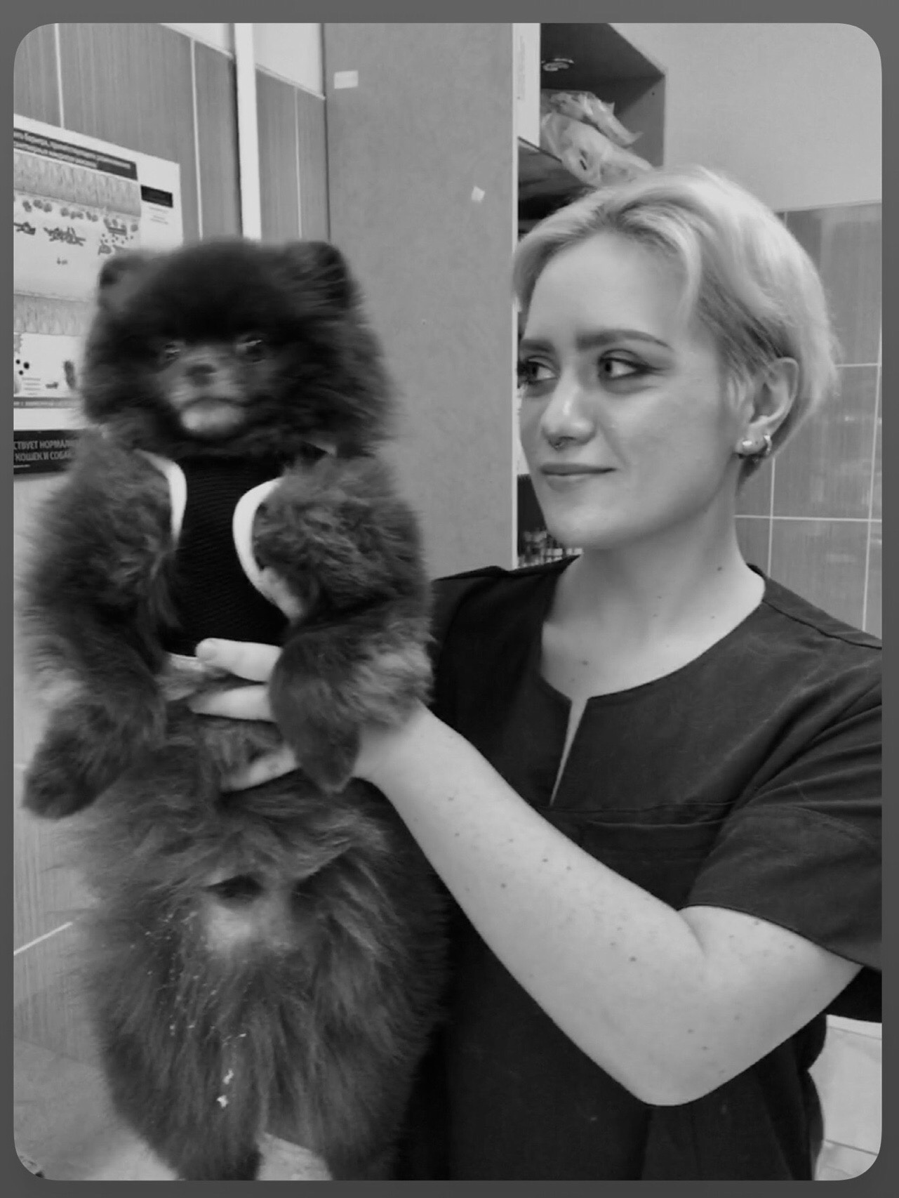 ������ ��������