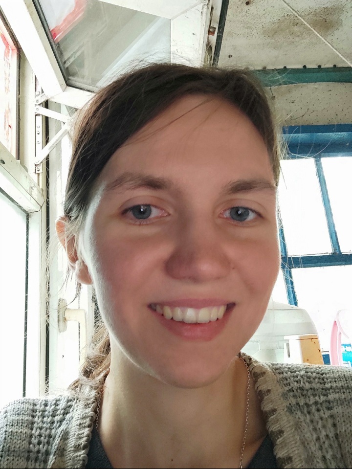 ������ �����������