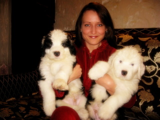 ������ �����������