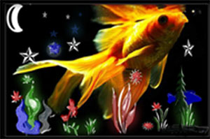 ����� -�����