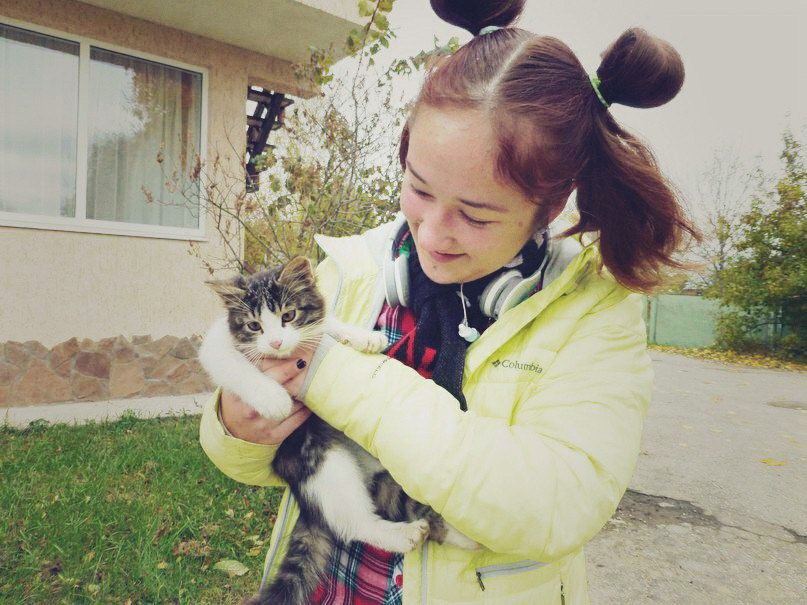 ������ ��������