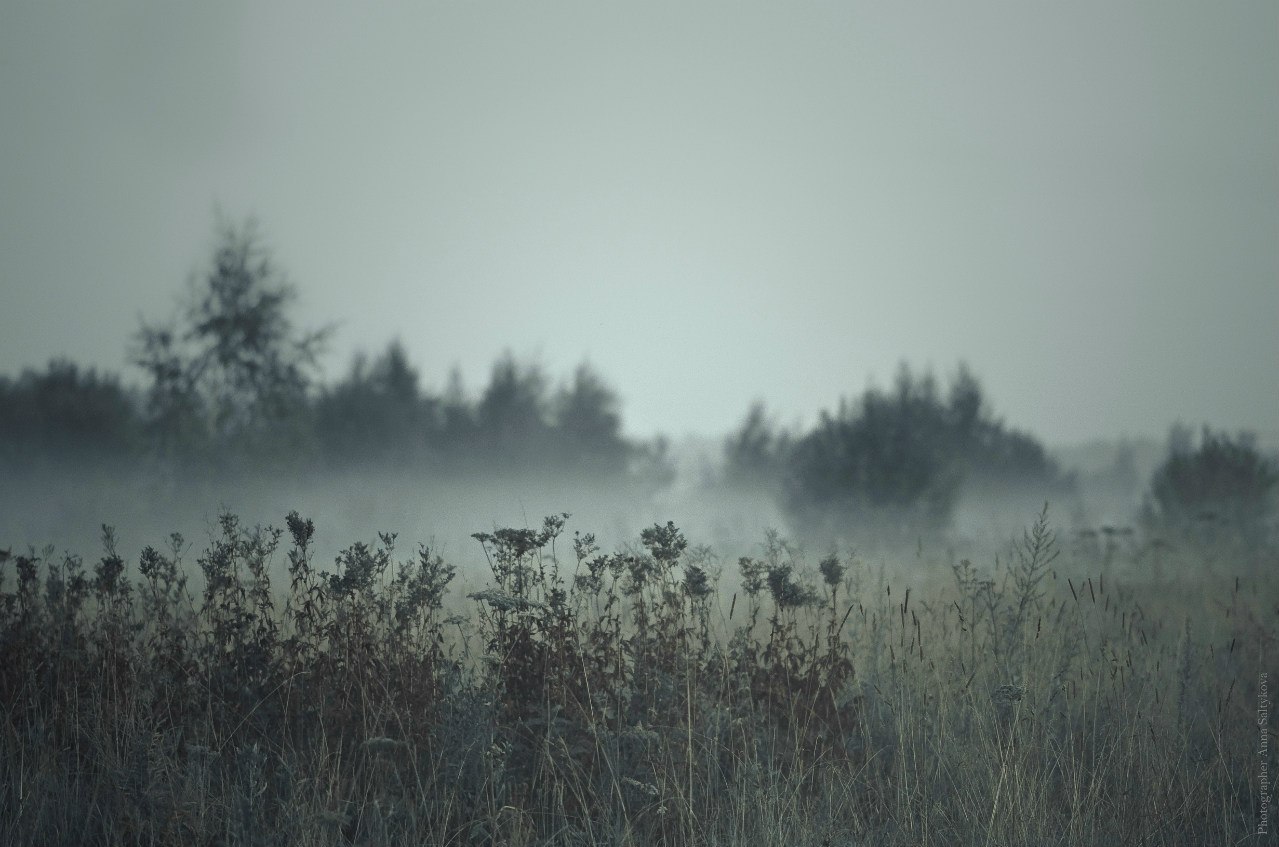 ����� ���������