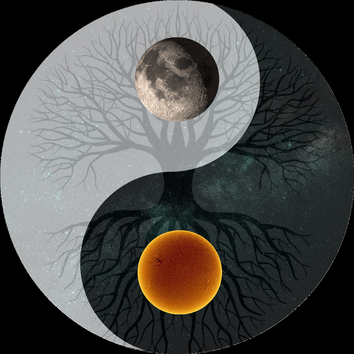 ��������� �����