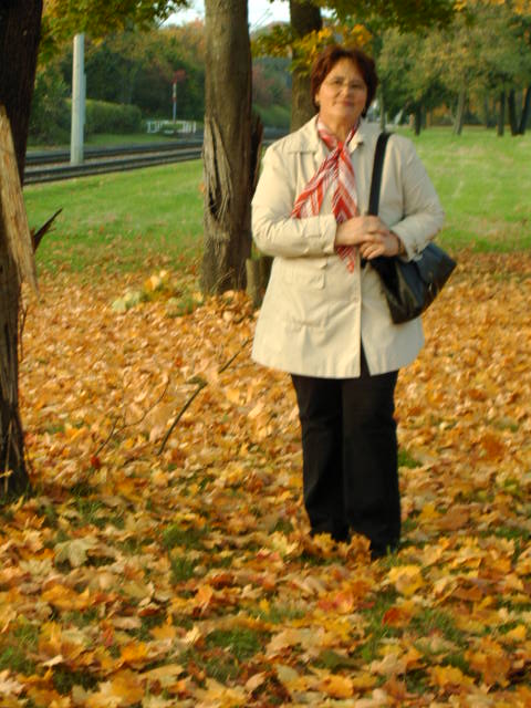 ����� ����