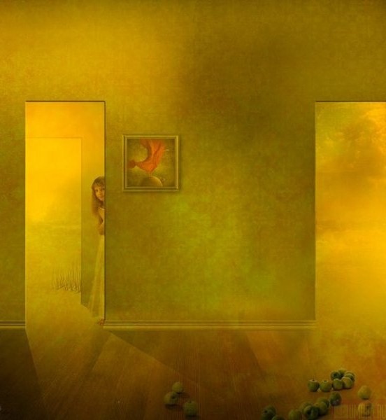 ���� ���������