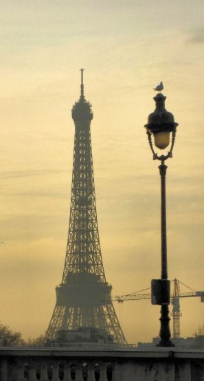 ���� ����