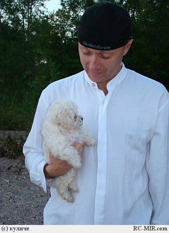 ������ ������