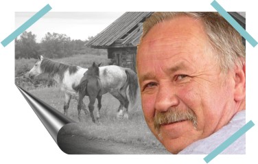 �������� ���������