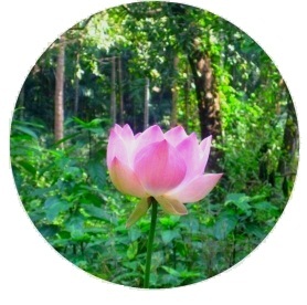 ���� ���