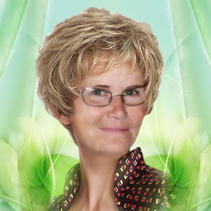 ������ ������