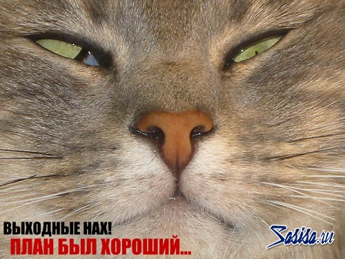 ������ ���������� �������