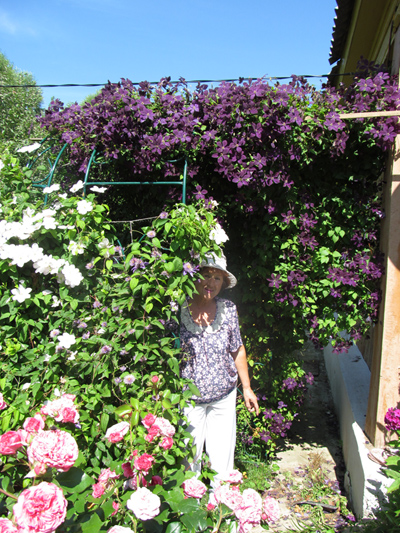 ������ ������