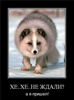 ���� ������������