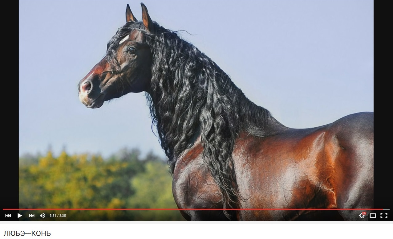 �������� ���������