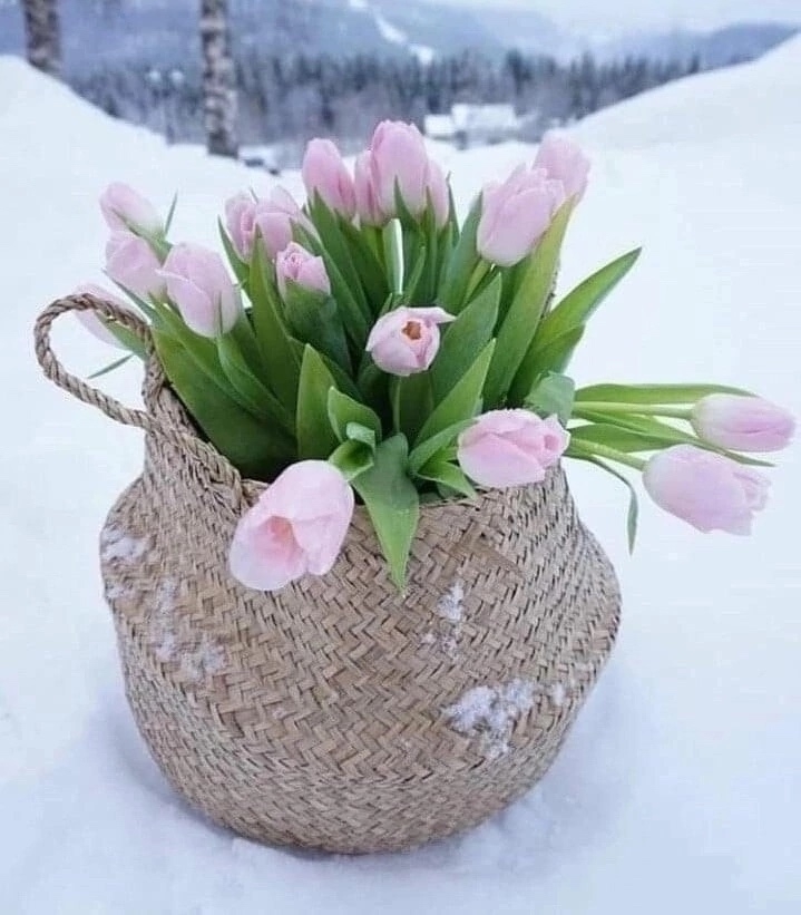 ׸���� ��������