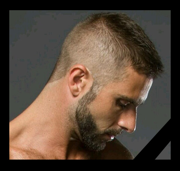 ������ ������