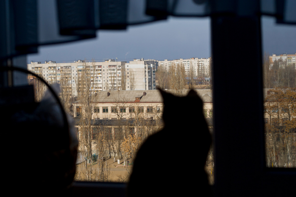 ������ ����������