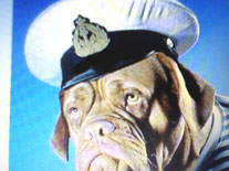 ��� �����