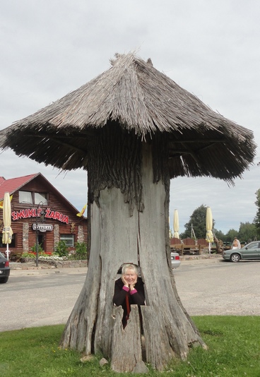 ���� ��������