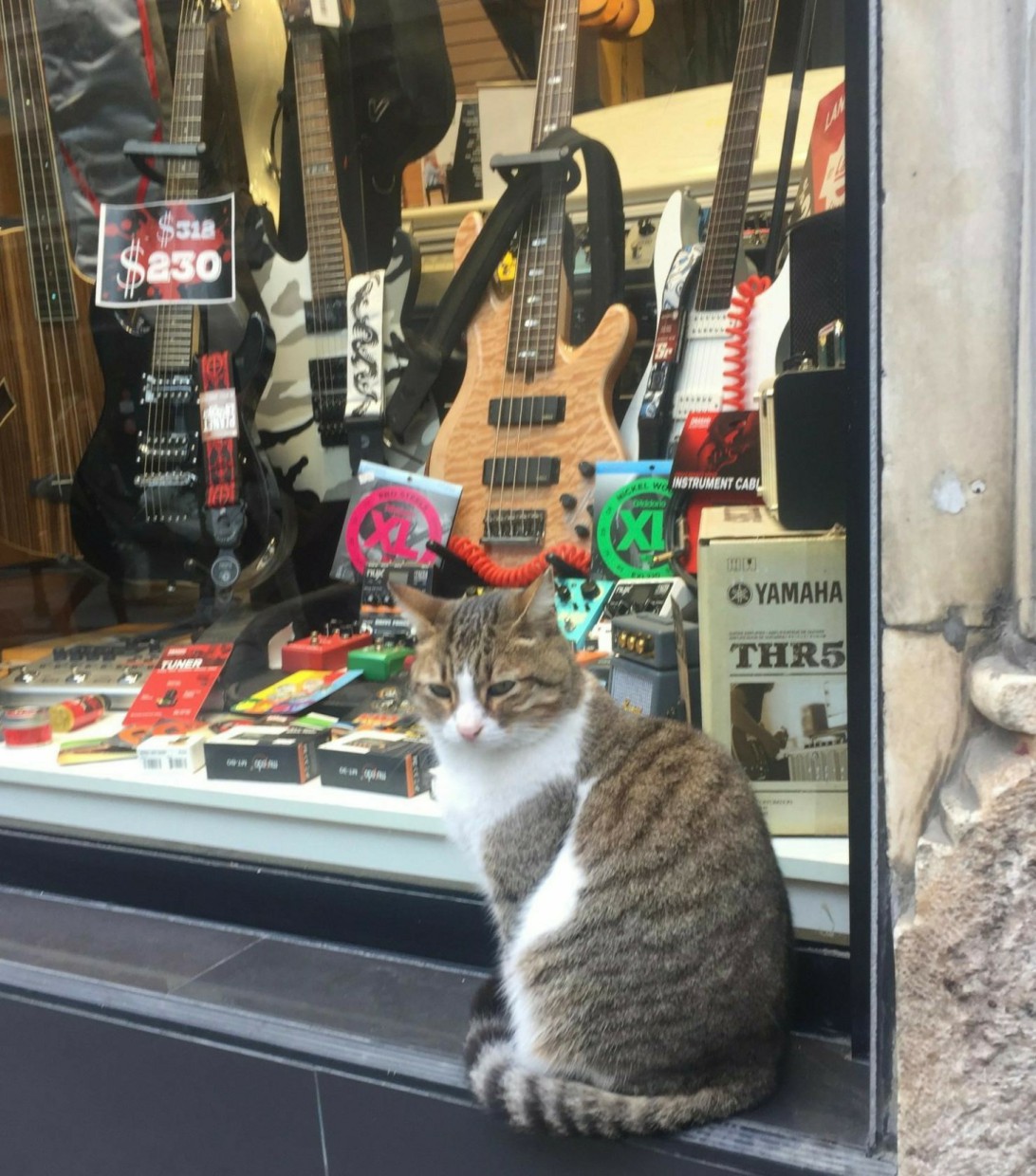 ������ ����